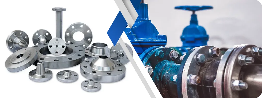 Alloy 800 Flanges Manufacturer in India
